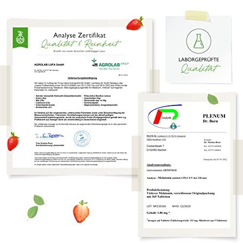 Melatonin - 365 Tabletten - 0,5 mg pro Tagesdosis - Laborgeprüft - Ohne unerwünschte Zusätze - Hochdosiert - Vegan Lifestyle-Webshop